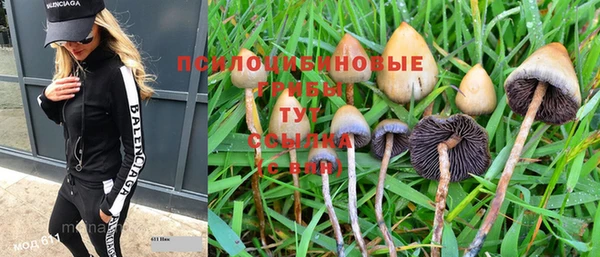 гашишное масло Заводоуковск