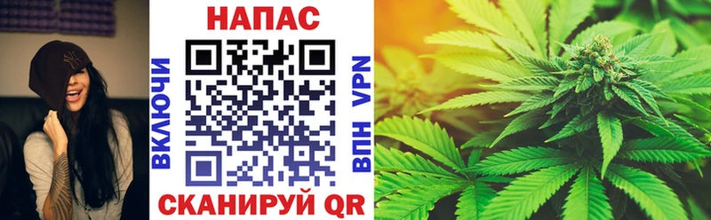 Конопля SATIVA & INDICA  Купить  Фурманов 
